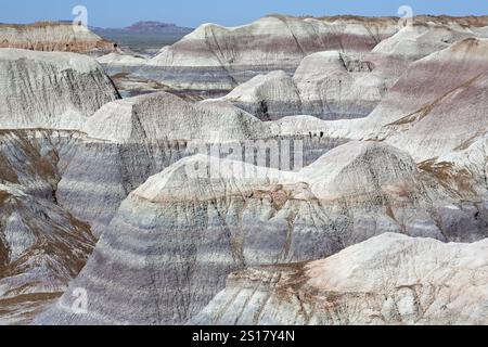 Blue Mesa, Parc National de la Forêt Pétrifiée, Arizona, USA, Amérique du Nord Banque D'Images