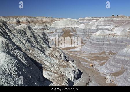 Blue Mesa, Parc National de la Forêt Pétrifiée, Arizona, USA, Amérique du Nord Banque D'Images