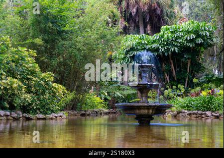 Fontaine sereine de jardin entourée d'une végétation luxuriante dans un cadre naturel tranquille Banque D'Images