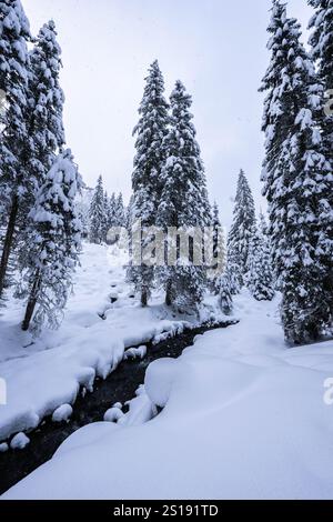 Winterwanderung entlang des Zauchenbachweg BEI Schneefall im Winter AM 23.12.2024. // le long de la Zauchenbachweg pendant les chutes de neige en hiver le 23 décembre 2024. - 20241223 PD6912 crédit : APA-PictureDesk/Alamy Live News Banque D'Images