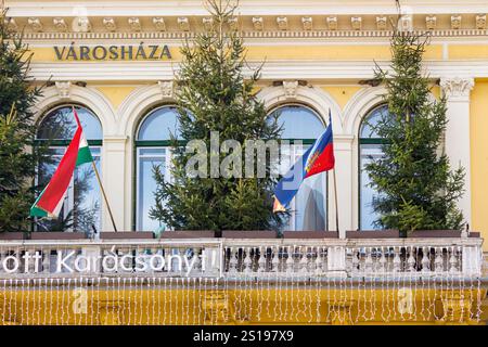 nyiregyhaza, hongrie - 07 dec, 2014 : hôtel de ville sur les vacances d'hiver. saison froide. temps ensoleillé. drapeaux et arbres de noël sur le balcon. vacat festif Banque D'Images