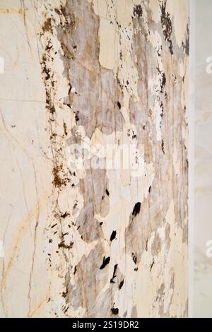 Une élégante surface en marbre avec des motifs uniques et des touches esthétiques distinctives Banque D'Images