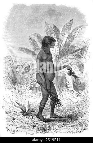 Jeune femme ou femme Shipibo-Conibo, les Shipibo-Conibo sont un peuple indigène du Pérou vivant le long de la rivière Ucayali dans la forêt amazonienne du Pérou en Amérique du Sud. Illustration vintage ou historique ou gravure 1864 Banque D'Images