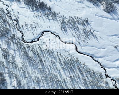 Une couverture de neige recouvre le paysage sauvage et boisé entourant le mont. Hood, Oregon. Cette région du nord-ouest du Pacifique est à seulement une heure de route de Portland. Banque D'Images