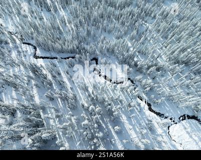 Une couverture de neige recouvre le paysage sauvage et boisé entourant le mont. Hood, Oregon. Cette région du nord-ouest du Pacifique est à seulement une heure de route de Portland. Banque D'Images