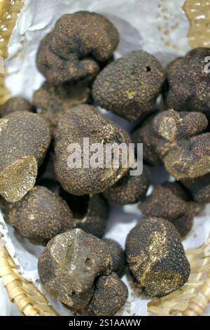 France, Côte d'Or, Dijon, zone classée au Patrimoine mondial de l'UNESCO, marché aux truffes sous les halles, truffes du Périgord ou truffes noires (Tuber melanosporum) Banque D'Images