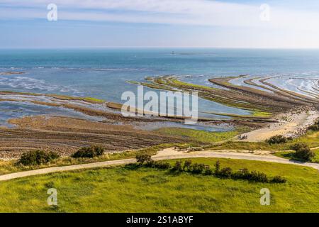 France, Charente-maritime, Ile d'Oléron, Saint-Denis d'Oléron, vue depuis le phare de Chassiron sur le littoral à marée basse de la pointe de Chassiron à l'île Nord de l'Oléron Banque D'Images