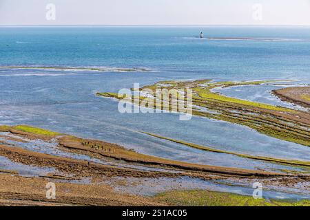 France, Charente-maritime, Ile d'Oléron, Saint-Denis d'Oléron, vue depuis le phare de Chassiron sur le littoral à marée basse de la pointe de Chassiron à l'île Nord de l'Oléron Banque D'Images