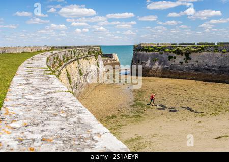 France, Charente-maritime, Ile de Ré, Saint-Martin-de-Ré, pêche à pied à marée basse devant les murs de la citadelle du XVIIe siècle, fortifications de Vauban classées au patrimoine mondial de l'UNESCO Banque D'Images