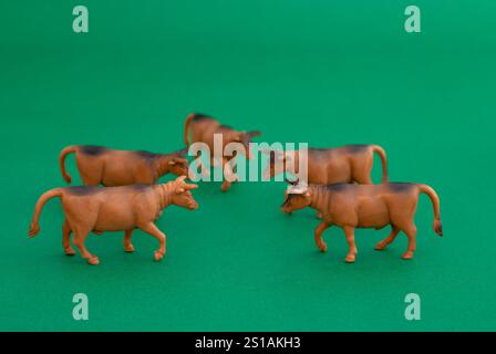 Cinq taureaux bruns sur fond vert. Banque D'Images