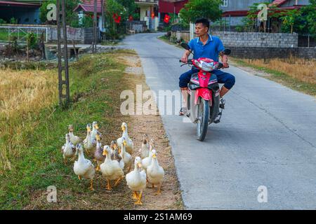 Vietnam, province de Lang son, vallée de bac son Banque D'Images