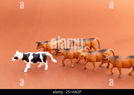 Une vache noire et blanche avec des taureaux bruns sur fond brun Banque D'Images