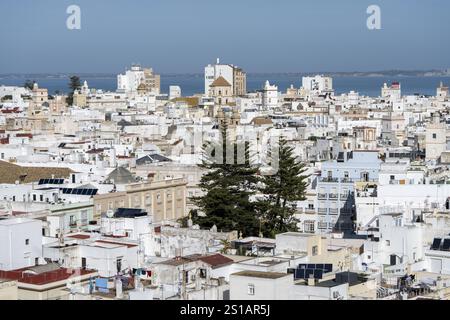 Espagne, Andalousie, Cadix, vue du haut de la Tour Poniente, au premier plan les voûtes, clochers, statues de la cathédrale et en arrière-plan, l'Atlantique, les toits de la ville, le port Banque D'Images