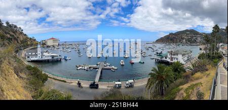 Port de Catalina dans la ville d'Avalon, île Catalina, îles Anglo-Normandes, Californie Banque D'Images