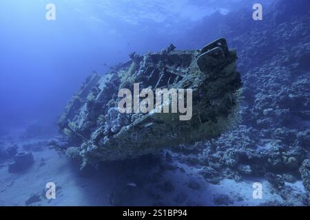 Un naufrage couvert de corail d'un voilier se trouve dans la mer bleue profonde, site de plongée petit Abu Reef, Fury Shoals, mer Rouge, Egypte, Afrique Banque D'Images