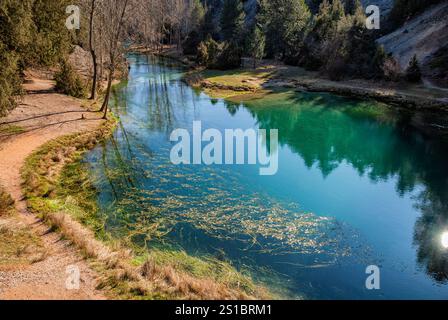 Source de la rivière Abion. Monument naturel de la Fuentona. Muriel de la Fuente. Province de Soria. Castilla y Leon. Espagne. Banque D'Images