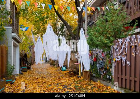 Décorations d'Halloween dans une ruelle arrière, Montréal, Canada Banque D'Images