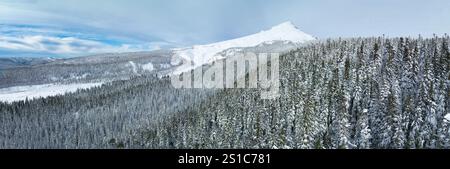 Une couverture de neige recouvre le paysage sauvage et boisé entourant le mont. Hood, Oregon. Cette région du nord-ouest du Pacifique est à seulement une heure de route de Portland. Banque D'Images