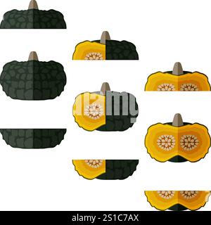 Ensemble de squash Marina di Chiogga ou citrouille de mer de Chioggia. Courge d'hiver. Cucurbita maxima. Légumes. Style plat. Illustration vectorielle isolée. Illustration de Vecteur