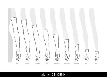 Ensemble de gants lâches diagramme de longueur avec le nom texte coude poignet court accessoire de main de mode vêtements illustration technique vêtement. Vecteur pour hommes femmes modèle plat unisexe modèle CAD maquette Illustration de Vecteur