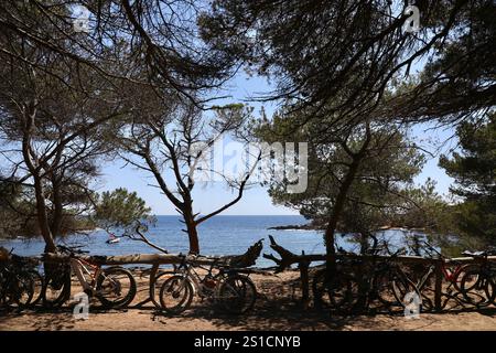 22 juin 2021, ŽLe de Porquerolles (HyÃ¨Res, Var, France : les vélos sont garés en bord de mer, sous les cyprès, sur l'île de Porquerolles, dans le Parc National de Port-Cros, France. (Crédit image : © Apolline Guillerot-Malick/SOPA images via ZUMA Press Wire) USAGE ÉDITORIAL SEULEMENT! Non destiné à UN USAGE commercial ! Banque D'Images