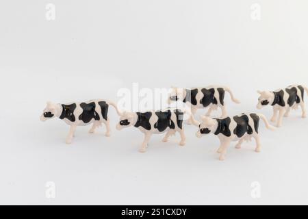 Un troupeau de vaches noires et blanches sur fond blanc avec espace de copie Banque D'Images