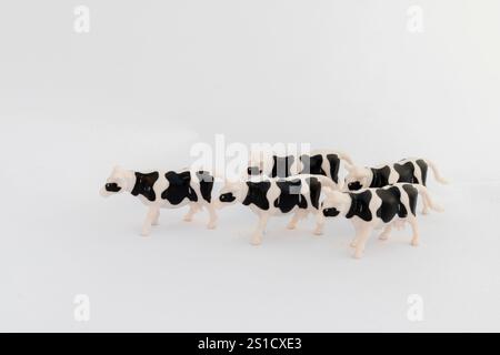Groupe de figurines de vache en plastique noir et blanc sur fond blanc Banque D'Images