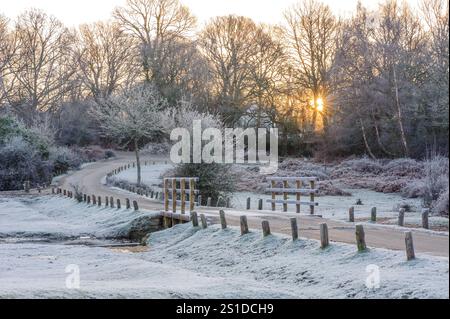 Linford Bottom, New Forest, Ringwood, Hampshire, Angleterre, Royaume-Uni, 3 janvier 2025, Météo : gel dur pendant la nuit avec une température inférieure à moins 6 dans la campagne à l'aube. Paul Biggins/Alamy Live News Banque D'Images