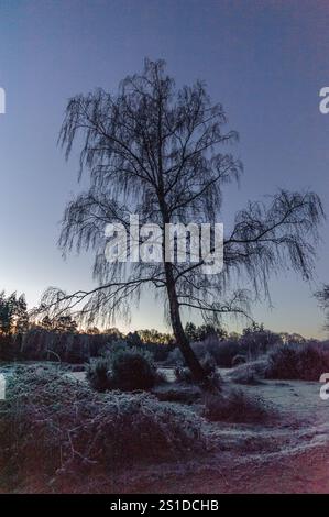 Linford Bottom, New Forest, Ringwood, Hampshire, Angleterre, Royaume-Uni, 3 janvier 2025, Météo : gel dur pendant la nuit avec une température inférieure à moins 6 dans la campagne à l'aube. Paul Biggins/Alamy Live News Banque D'Images