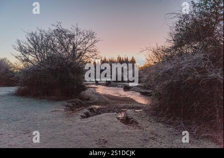 Linford Bottom, New Forest, Ringwood, Hampshire, Angleterre, Royaume-Uni, 3 janvier 2025, Météo : gel dur pendant la nuit avec une température inférieure à moins 6 dans la campagne à l'aube. Paul Biggins/Alamy Live News Banque D'Images