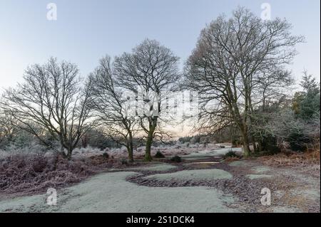 Linford Bottom, New Forest, Ringwood, Hampshire, Angleterre, Royaume-Uni, 3 janvier 2025, Météo : gel dur pendant la nuit avec une température inférieure à moins 6 dans la campagne à l'aube. Paul Biggins/Alamy Live News Banque D'Images