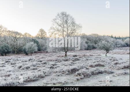 Linford Bottom, New Forest, Ringwood, Hampshire, Angleterre, Royaume-Uni, 3 janvier 2025, Météo : gel dur pendant la nuit avec une température inférieure à moins 6 dans la campagne à l'aube. Paul Biggins/Alamy Live News Banque D'Images