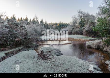 Linford Bottom, New Forest, Ringwood, Hampshire, Angleterre, Royaume-Uni, 3 janvier 2025, Météo : gel dur pendant la nuit avec une température inférieure à moins 6 dans la campagne à l'aube. Paul Biggins/Alamy Live News Banque D'Images