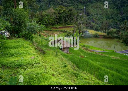 La belle de naringgul sud cianjur ouest Java indonésien Banque D'Images