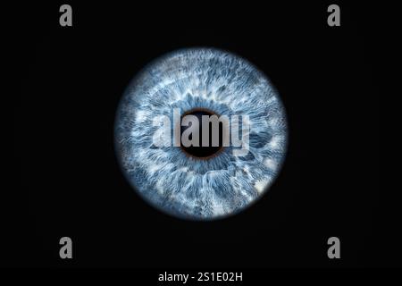 Gros plan de l'iris de l'œil humain sur fond noir, macro photographie Banque D'Images