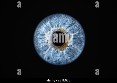 Gros plan de l'iris de l'œil humain sur fond noir, macro photographie Banque D'Images