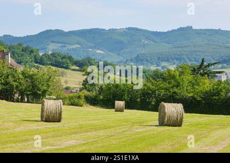 Balles rondes sèches dans un champ du sud de la France près de Saint-Céré Lot Occitanie sous un ciel bleu. Balles de foin rondes sur la pente d'une montagne en été. Banque D'Images