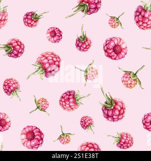 Motif aquarelle sans couture avec framboises et mûres. Illustration de dessin à la main baies rouges. Élément de design graphique isolé sur blanc Banque D'Images