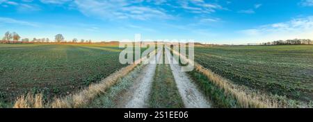Soleil hivernal en fin d'après-midi sur les terres agricoles dans la campagne du North Yorkshire au Royaume-Uni. Banque D'Images