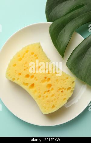 Une éponge, plaque et feuille de monstera sur fond bleu clair, vue de dessus Banque D'Images