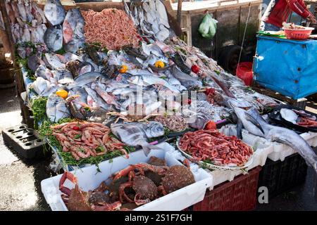 sélection de poissons frais et crustacés vendus à partir d'un étal des bateaux de pêche dans le port du port d'essaouira, maroc Banque D'Images