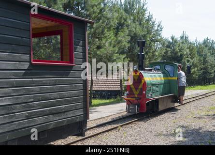 Un train se tient derrière un cintre en bois sur des rails, entouré d'arbres par une journée ensoleillée, locomotive diesel, locomotive de chemin de fer léger de type WLS 40 avec addit Banque D'Images