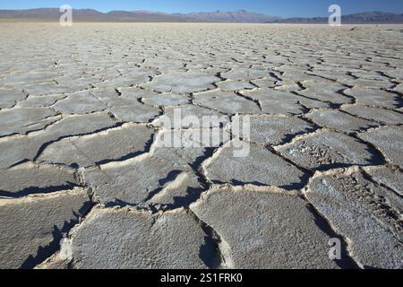 Salinas grandes, lac salé, Andes, Argentine, Amérique du Sud Banque D'Images