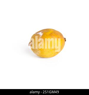 Citron moisi isolé sur fond blanc. Banque D'Images