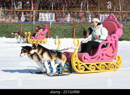 Pékin, Chine. 4 janvier 2025. Les visiteurs s'amusent au parc Yuanmingyuan à Pékin, capitale de la Chine, le 4 janvier 2025. Le festival de glace et de neige du parc Yuanmingyuan a débuté samedi. Crédit : Luo Xiaoguang/Xinhua/Alamy Live News Banque D'Images