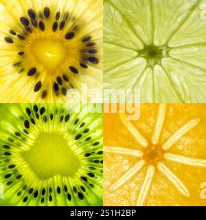 collage carré assorti de 4 tranches de fruits rétro-éclairées Banque D'Images