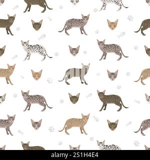 Kanaani Cat modèle sans couture. Toutes les couleurs de manteau sont définies. Infographie des caractéristiques de toutes les races de chats. Illustration vectorielle Illustration de Vecteur