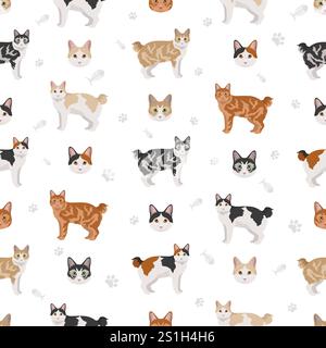 Kurilian Bobtail Cat modèle sans couture. Toutes les couleurs de manteau sont définies. Infographie des caractéristiques de toutes les races de chats. Illustration vectorielle Illustration de Vecteur