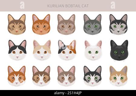 Clipart Kurilian Bobtail Cat. Toutes les couleurs de manteau sont définies. Infographie des caractéristiques de toutes les races de chats. Illustration vectorielle Illustration de Vecteur