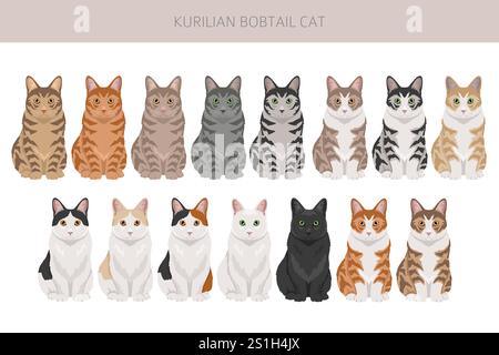 Clipart Kurilian Bobtail Cat. Toutes les couleurs de manteau sont définies. Infographie des caractéristiques de toutes les races de chats. Illustration vectorielle Illustration de Vecteur